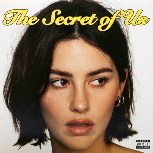 Abrams, Gracie-Secret Of Us (LP)