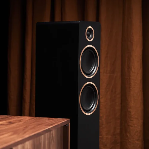 Argon Fenris Active Speakers 55 Black (cift) - Image 4