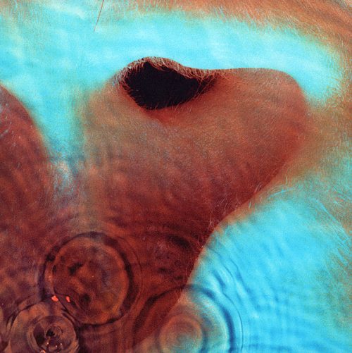 Pink Floyd-Meddle (LP)