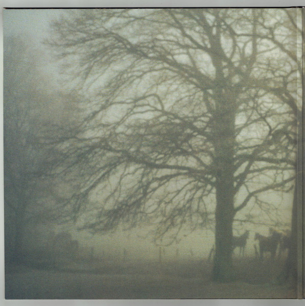 Wolf Alice - Visions Of A Life 2- (LP) - Image 2