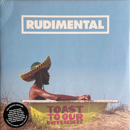 Rudimental - Toast To Our Differences (2-LP)